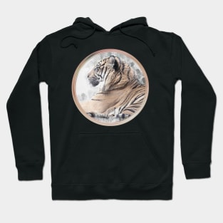 Tiger Wild Animal Safari Africa Jungle Feline World Nature Earth Hoodie